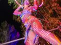 Electra_ErezBit_2481