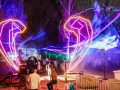 Electra_ErezBit_2726